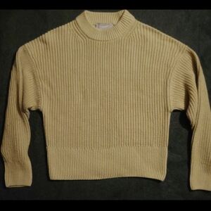 Everlane Sweater Womens Tan Organic Cotton Pullover Long Sleeve Size Small